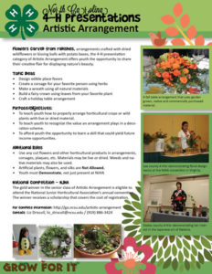 4-H Presentations: Artistic Arrangement cover