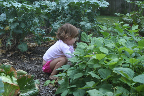 toddler playing in garden