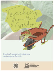 Creating Transformative Learning Landscapes cover