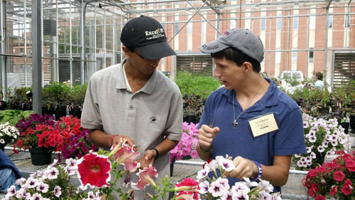 two young men talking about plant breeding