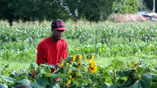 Youth on a farm looking at flowers