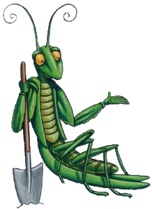 JMG mantis mascot