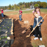 Students working on mulching