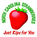 North Carolina Strawberries