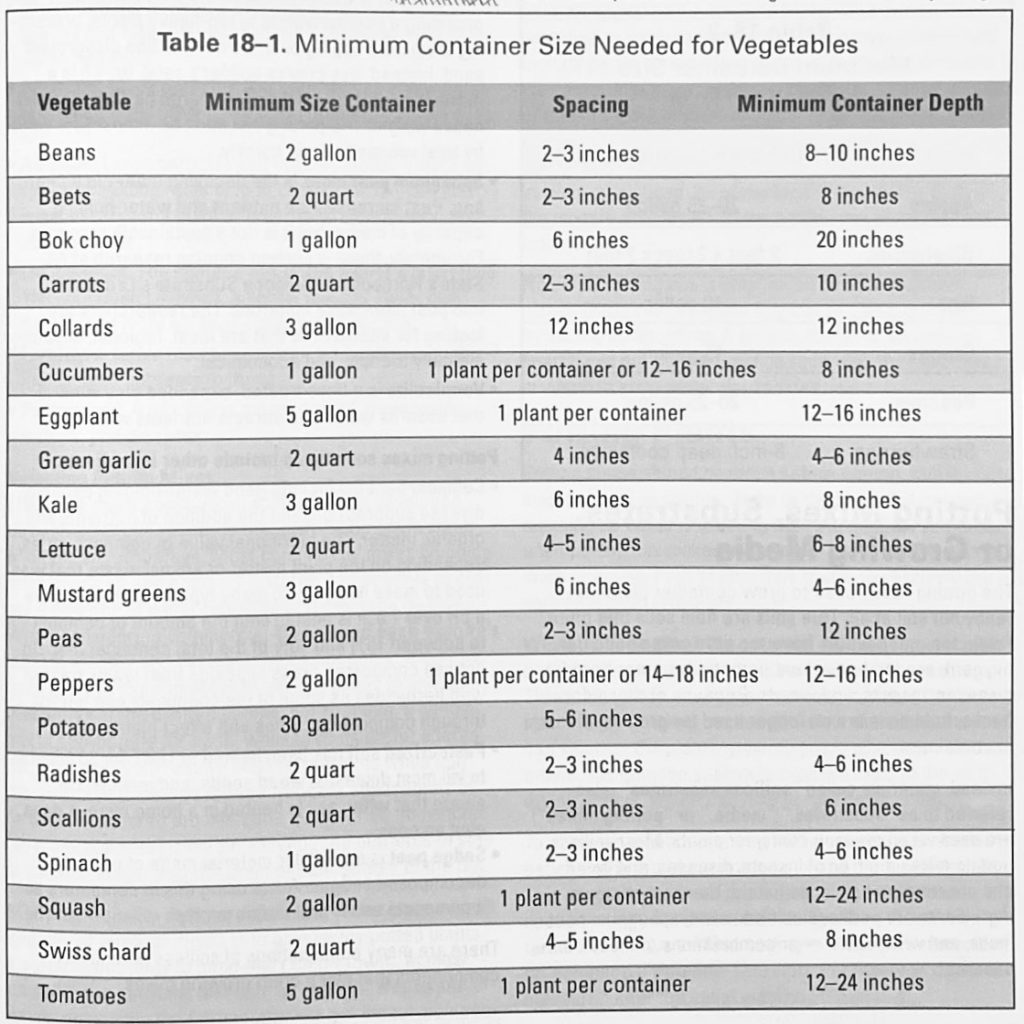 Vegetable Container Size Chart