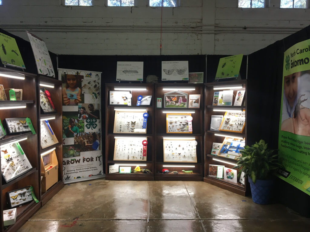 image of the insect collections at the NC State Fair