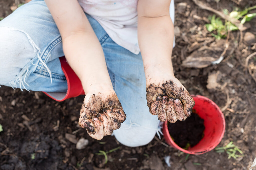 Child's hand holding soil
