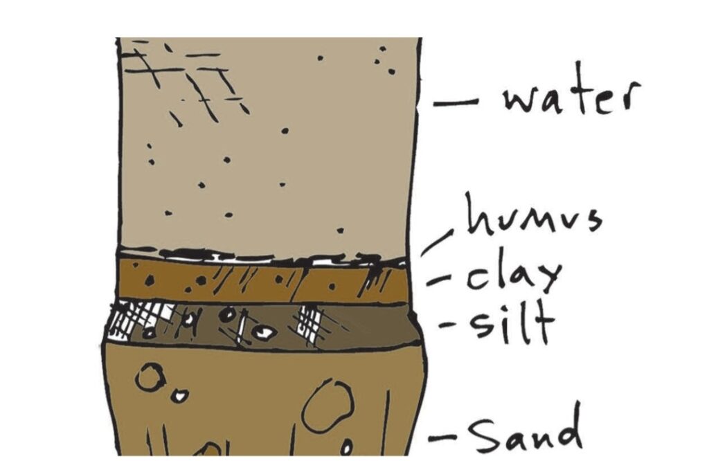 soil profile: sand, silt, clay, humus, water
