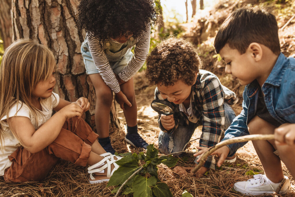 Children in forest looking at leaves with the magnifying glass.