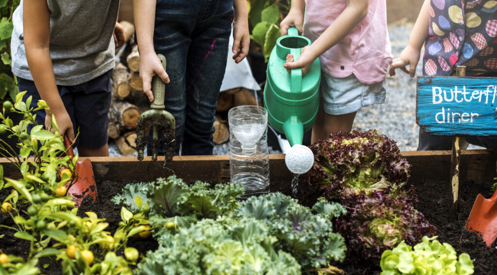 Group of kindergarten kids learning gardening outdoors