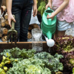 Group of kindergarten kids learning gardening outdoors