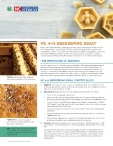 beekeeping essay image