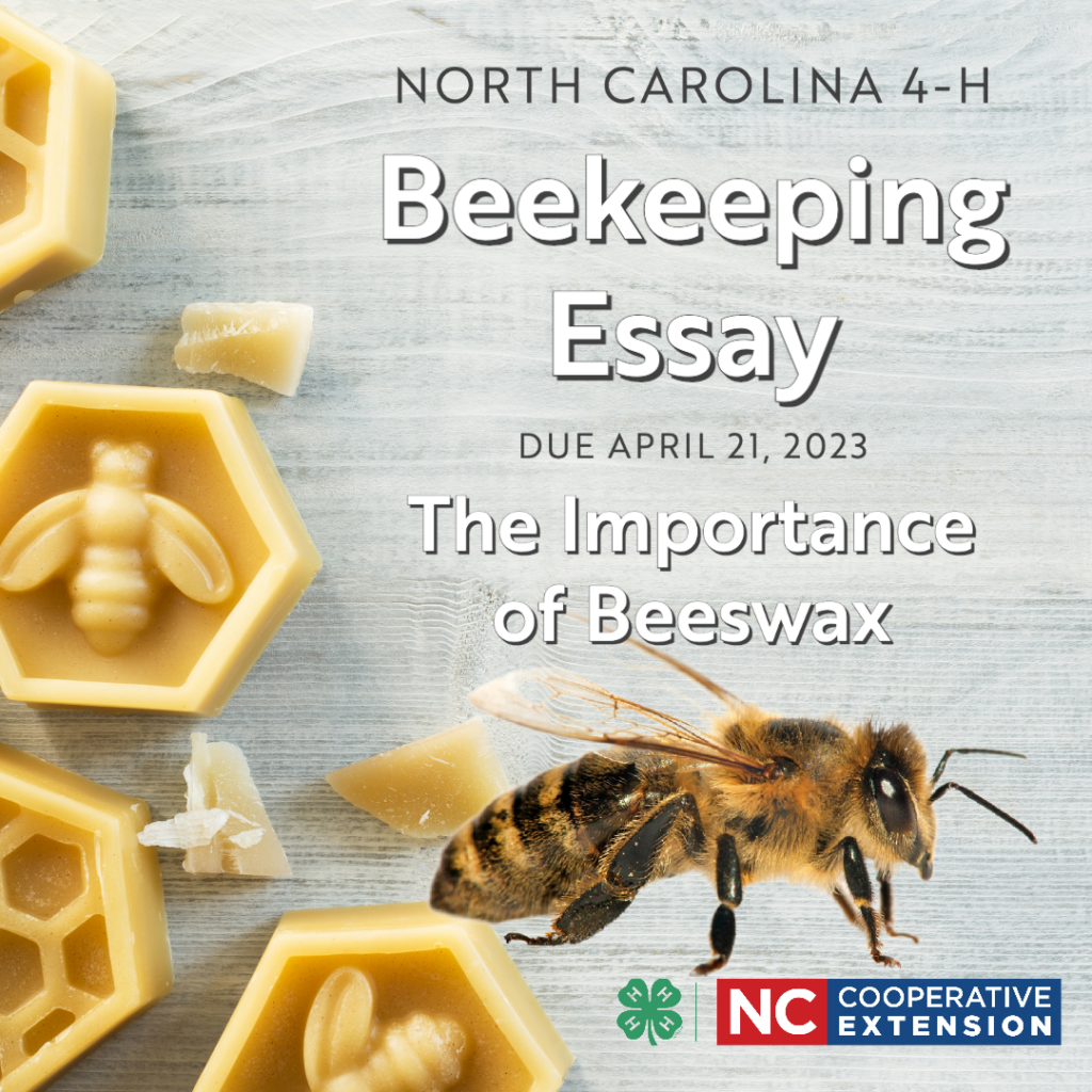 Eating Beeswax - Is it Safe? - Carolina Honeybees