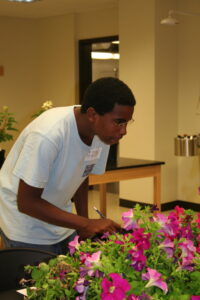 young man judging flowers