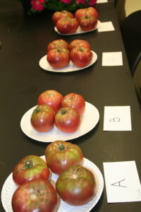 plates of different tomatoes